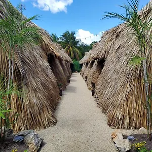 https://hakuna-matata-cabaa-7.quintano-roohotels.com